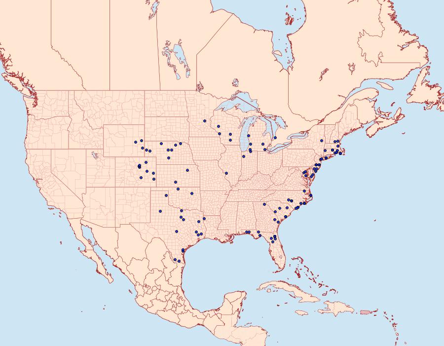 Distribution Data for Eucoptocnemis fimbriaris