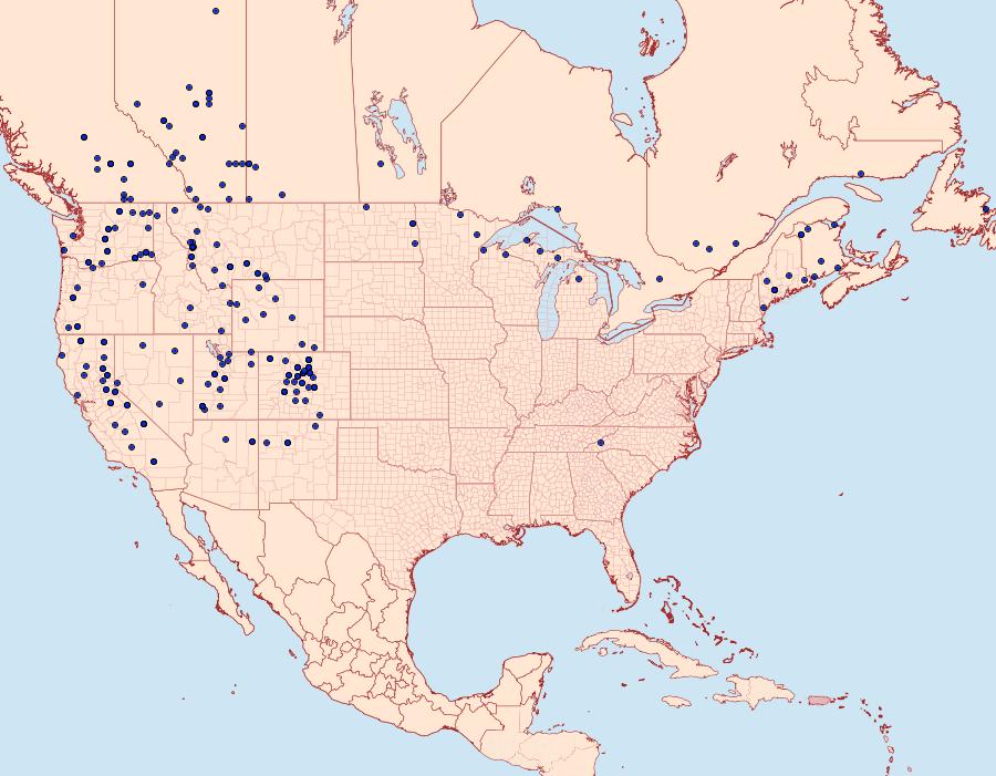 Distribution Data for Euxoa divergens