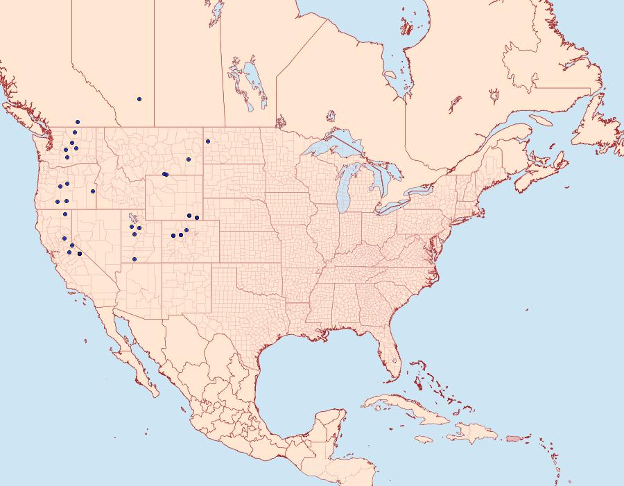 Distribution Data for Euxoa edictalis