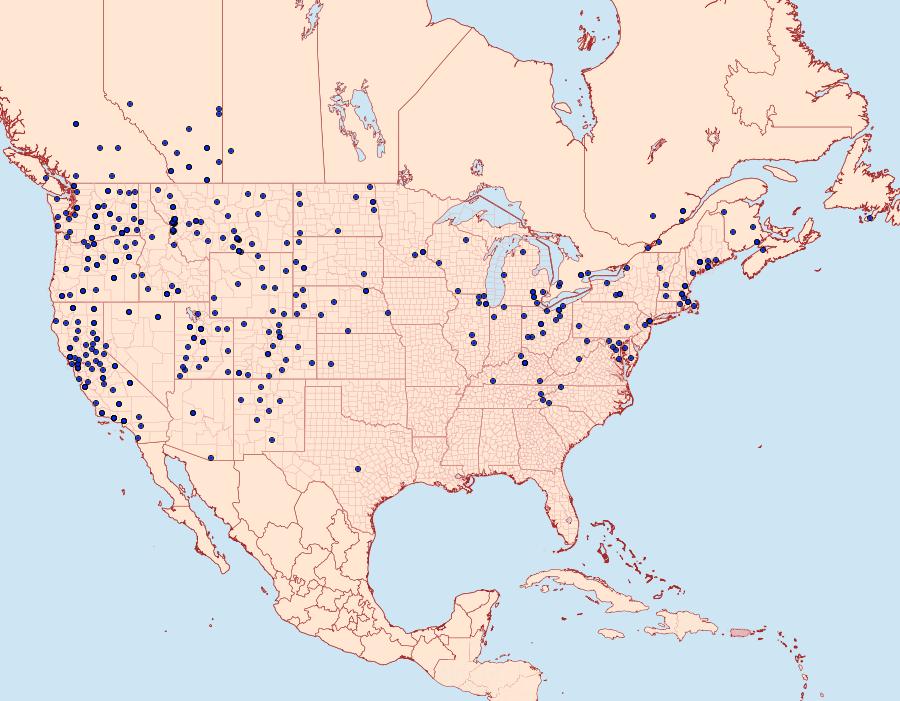 Distribution Data for Euxoa messoria