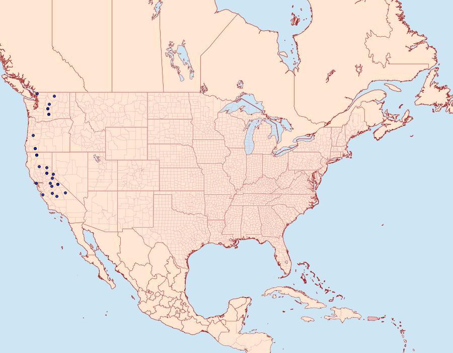 Distribution Data for Euxoa extranea