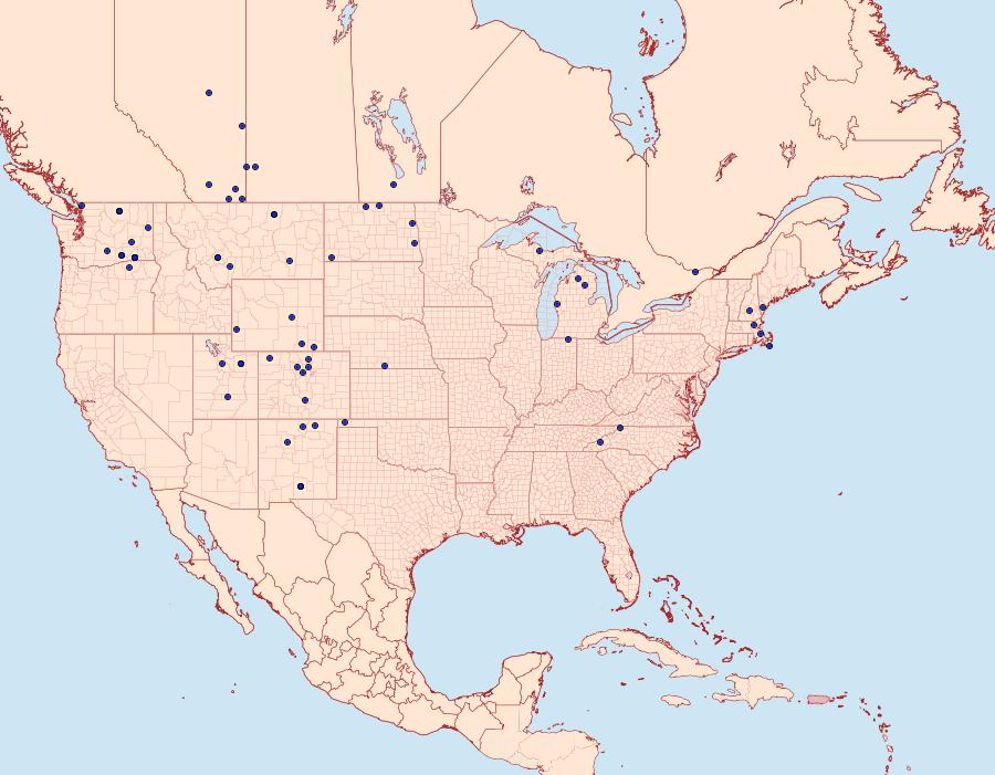 Distribution Data for Euxoa pleuritica