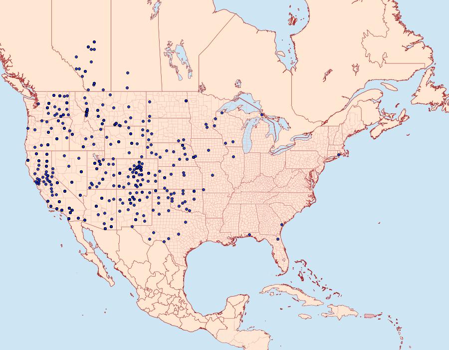 Distribution Data for Euxoa auxiliaris