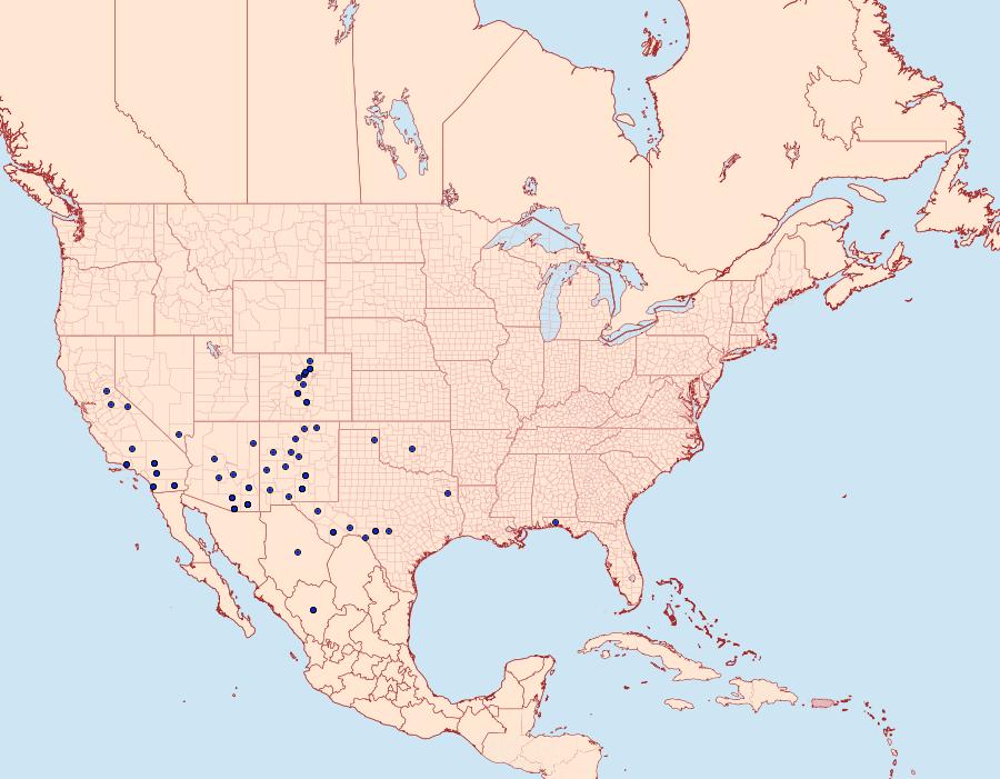 Distribution Data for Euxoa inconcinna