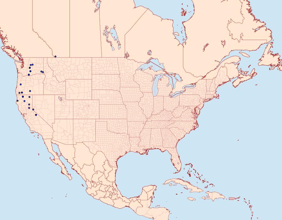 Distribution Data for Euxoa shasta