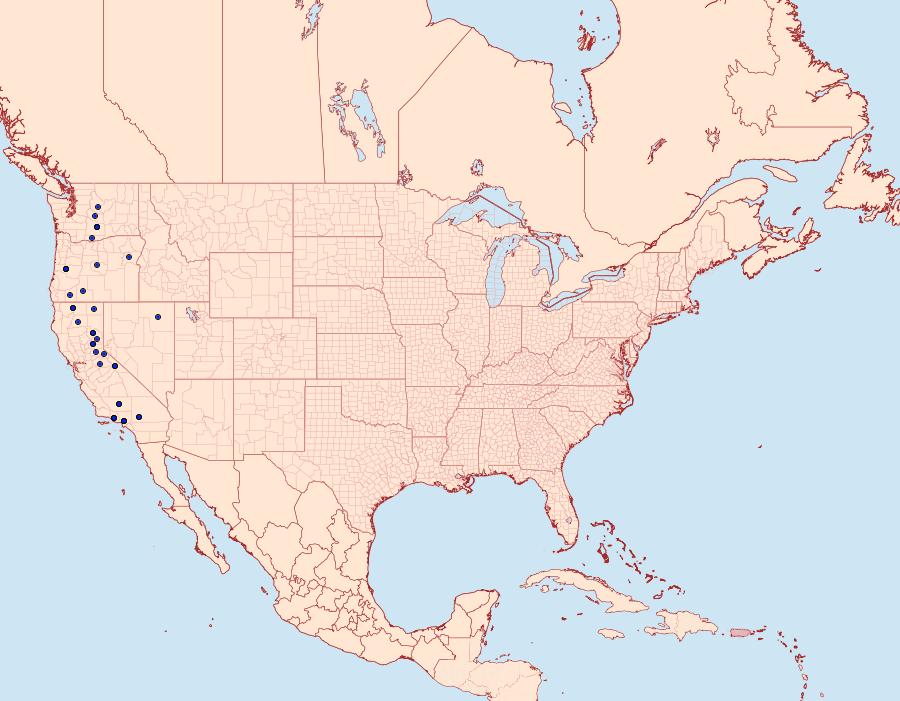 Distribution Data for Euxoa biformata