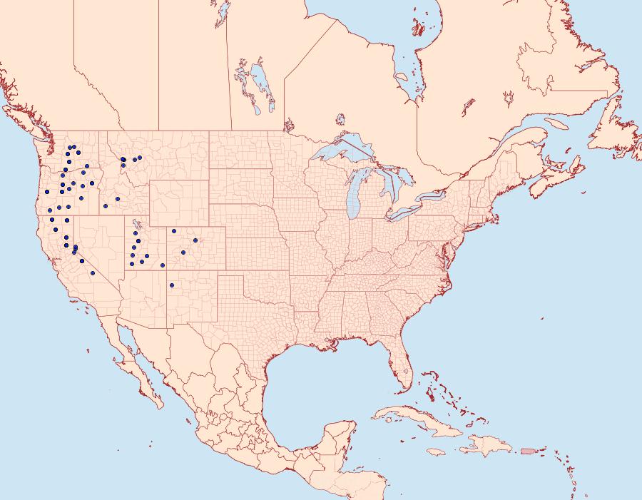 Distribution Data for Euxoa intermontana