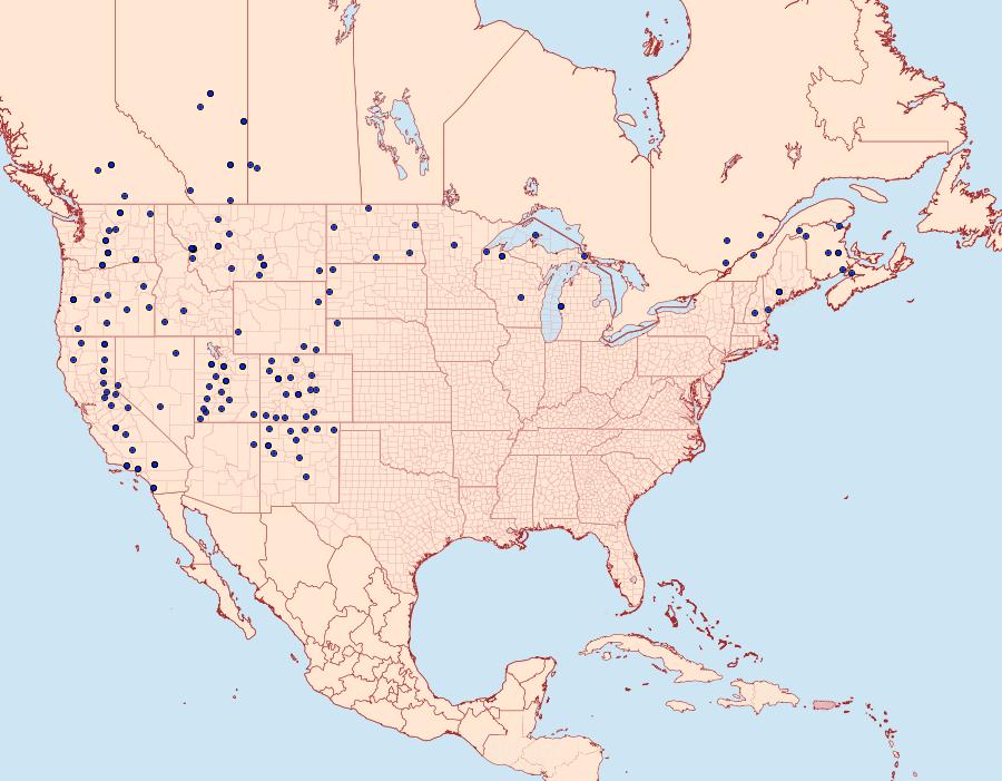 Distribution Data for Euxoa mimallonis