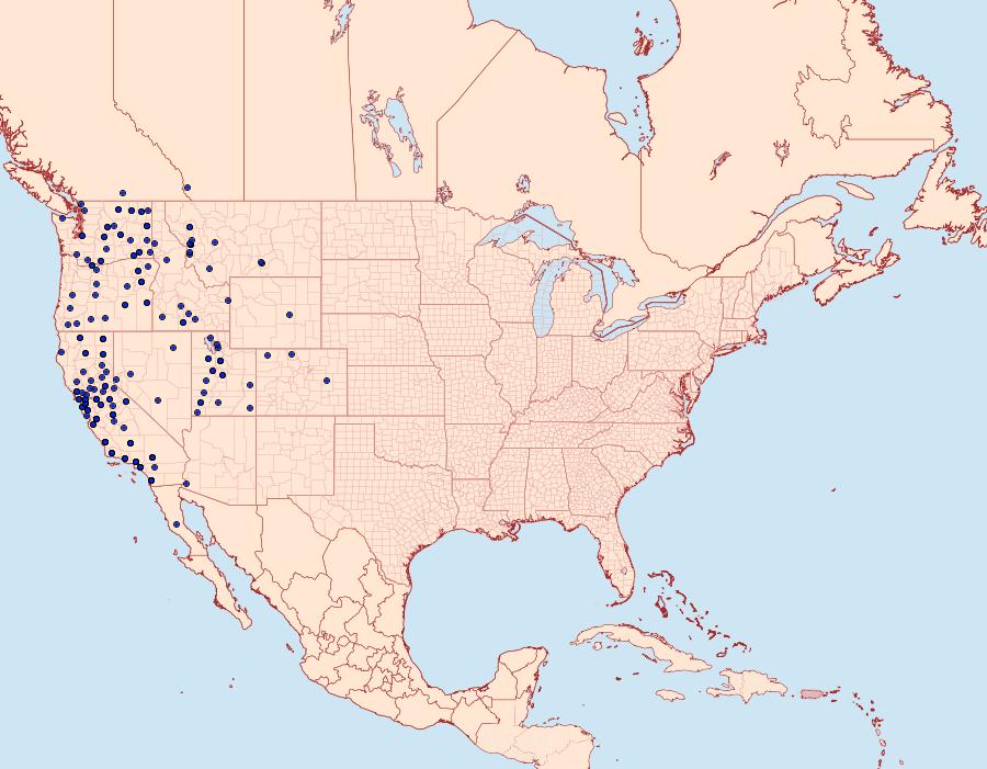 Distribution Data for Euxoa septentrionalis