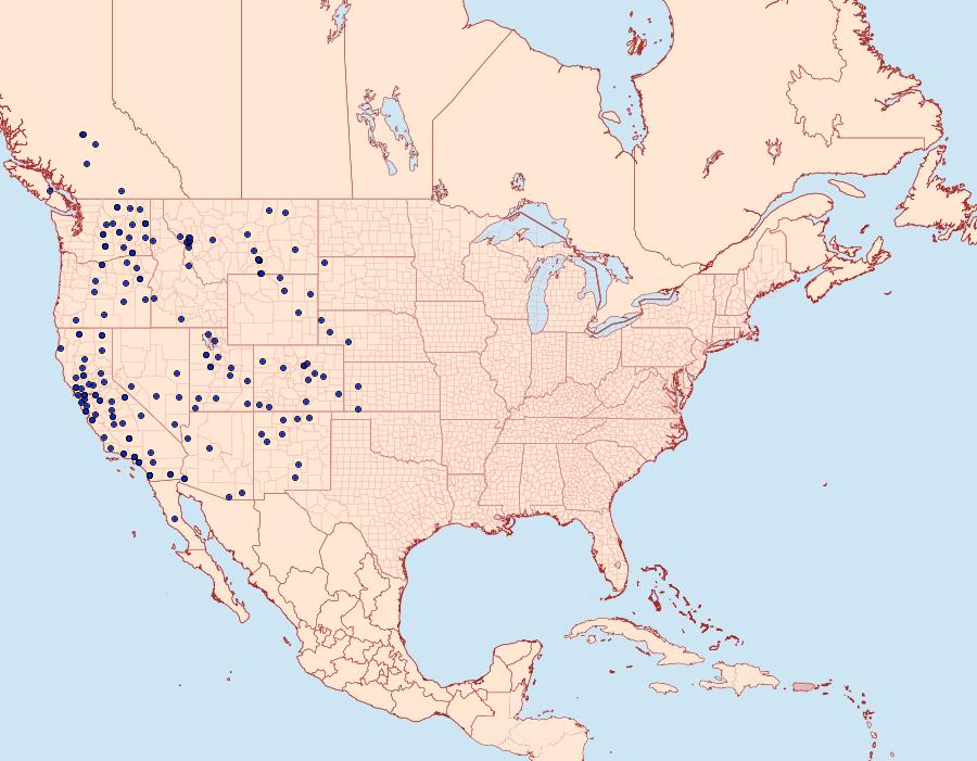 Distribution Data for Euxoa olivia