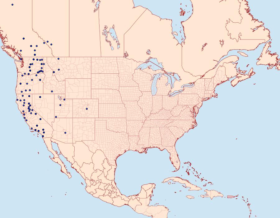 Distribution Data for Euxoa terrenus