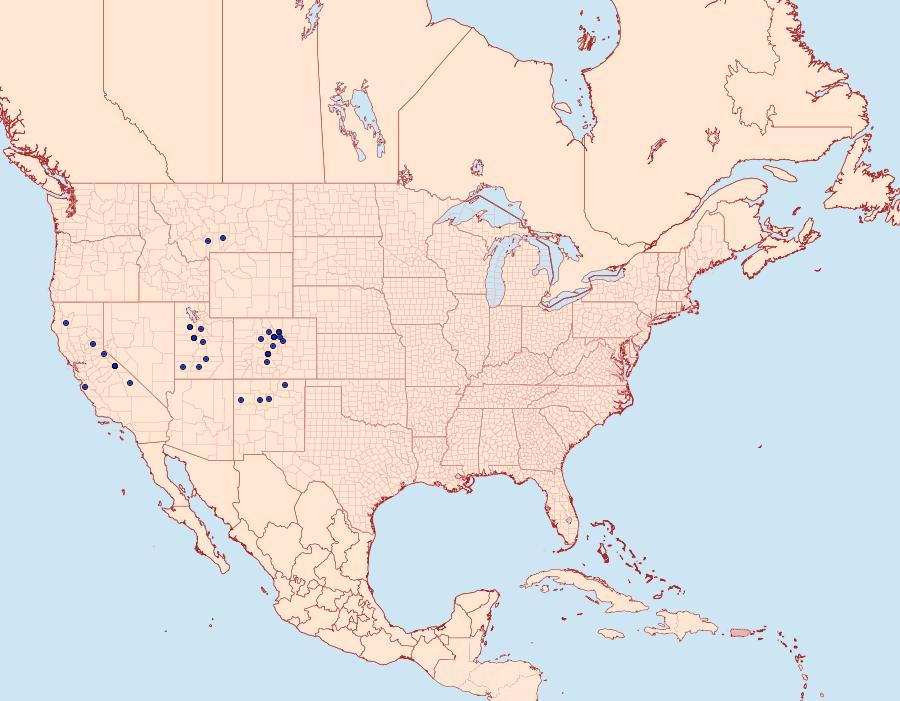 Distribution Data for Euxoa antica