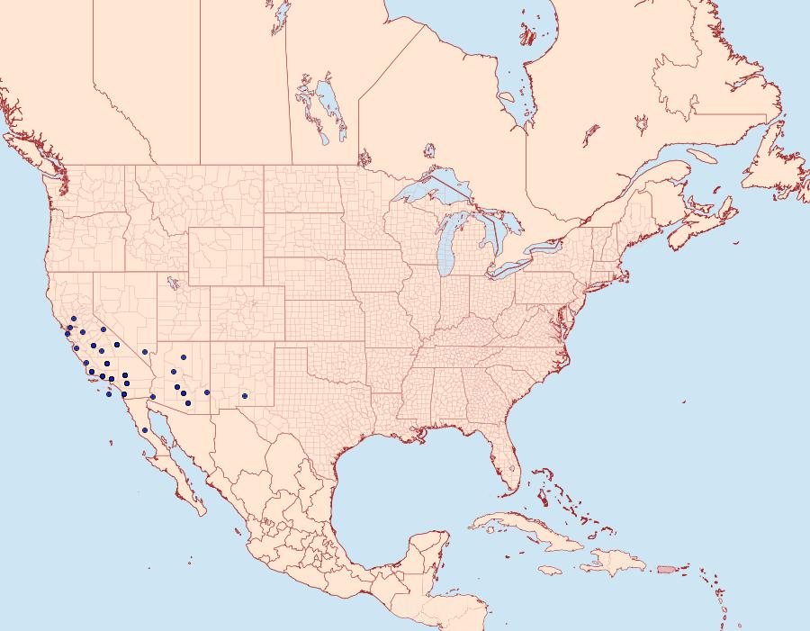 Distribution Data for Euxoa serricornis