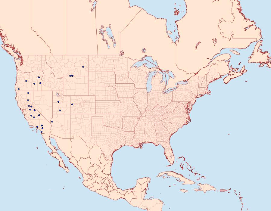 Distribution Data for Euxoa annulipes