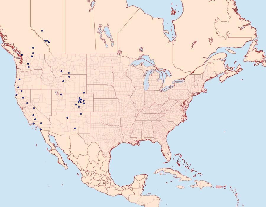 Distribution Data for Euxoa rufula