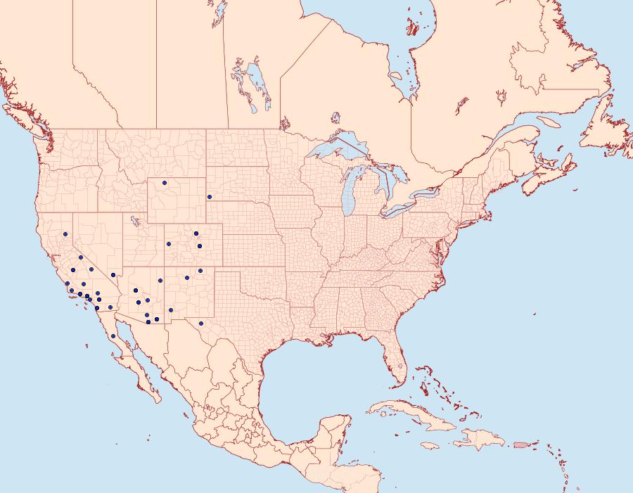 Distribution Data for Euxoa pimensis