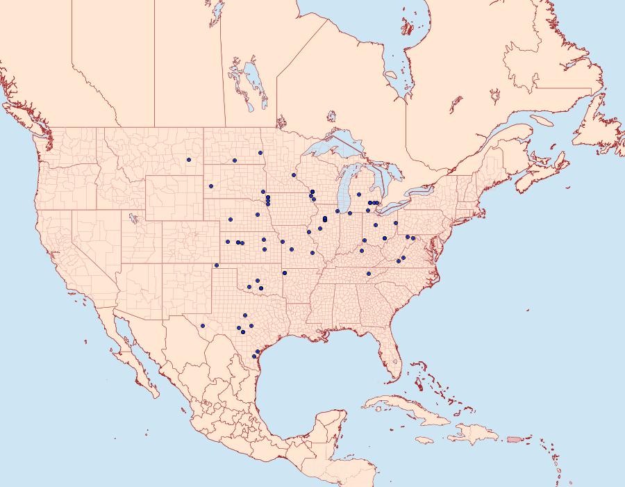 Distribution Data for Euxoa immixta