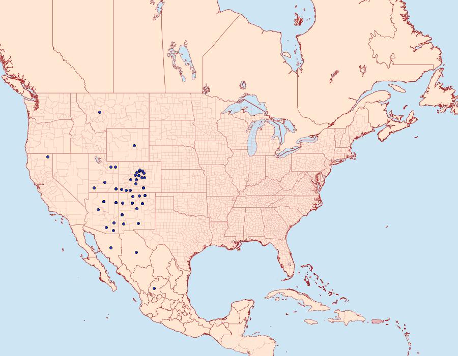 Distribution Data for Euxoa flavidens