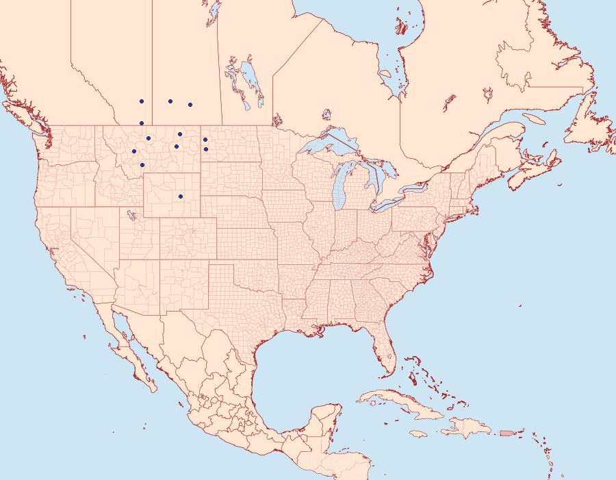 Distribution Data for Euxoa spumata