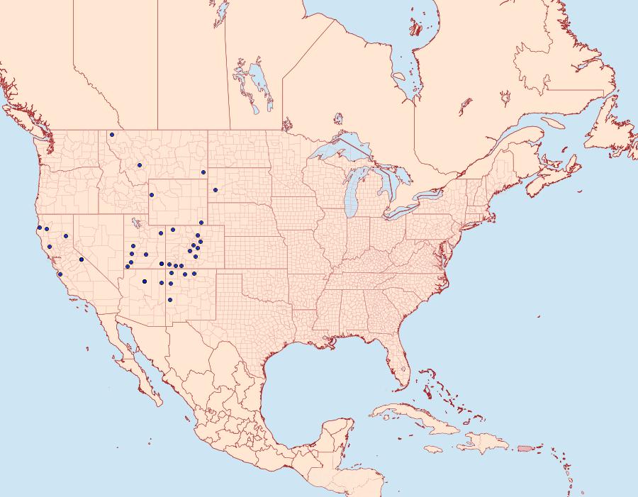 Distribution Data for Euxoa stigmatalis