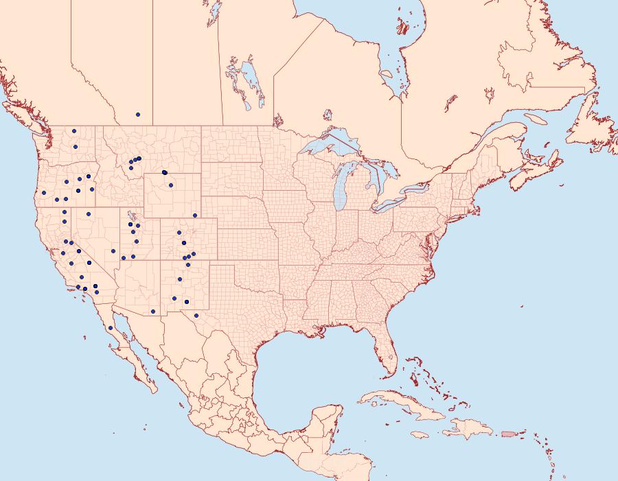 Distribution Data for Euxoa misturata