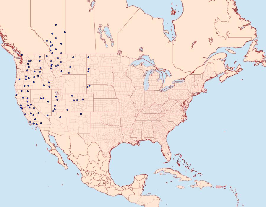 Distribution Data for Euxoa aequalis