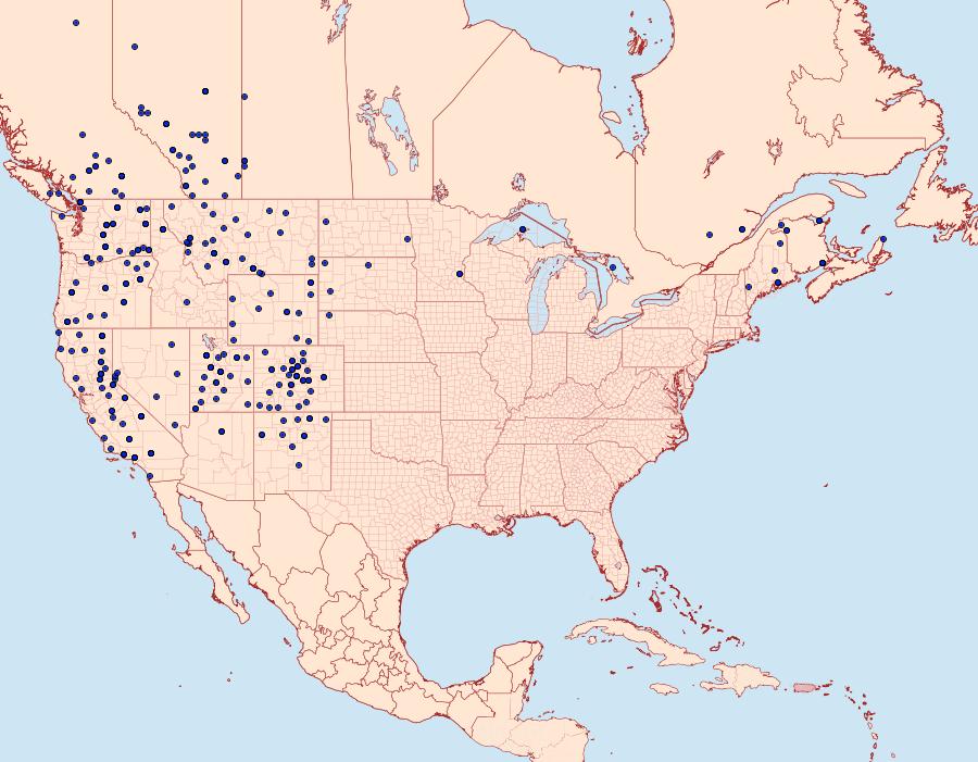 Distribution Data for Euxoa comosa