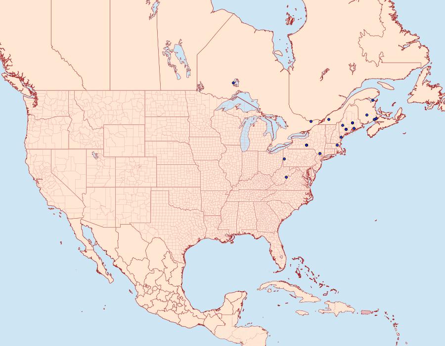 Distribution Data for Euxoa fumalis