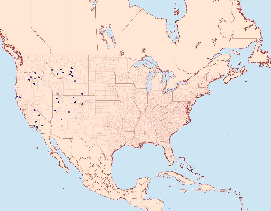 Distribution Data for Euxoa lucida