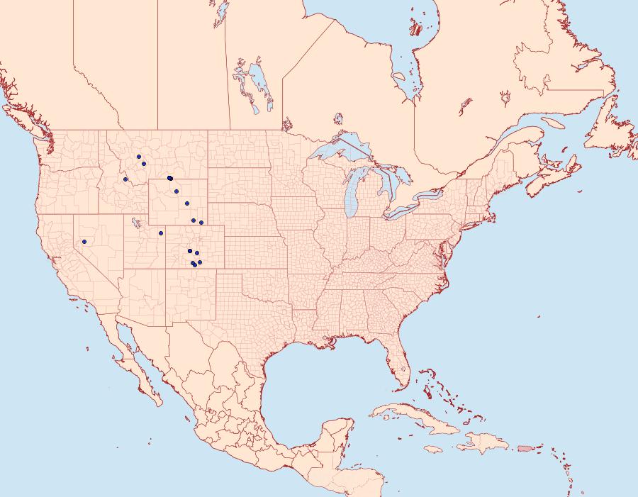 Distribution Data for Euxoa lineifrons