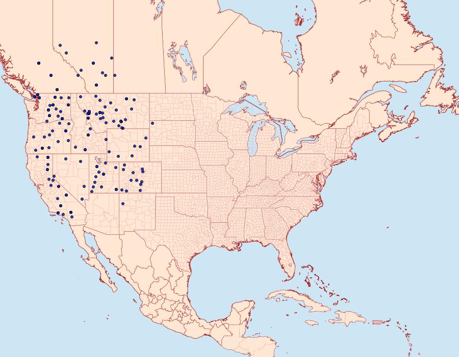 Distribution Data for Euxoa plagigera