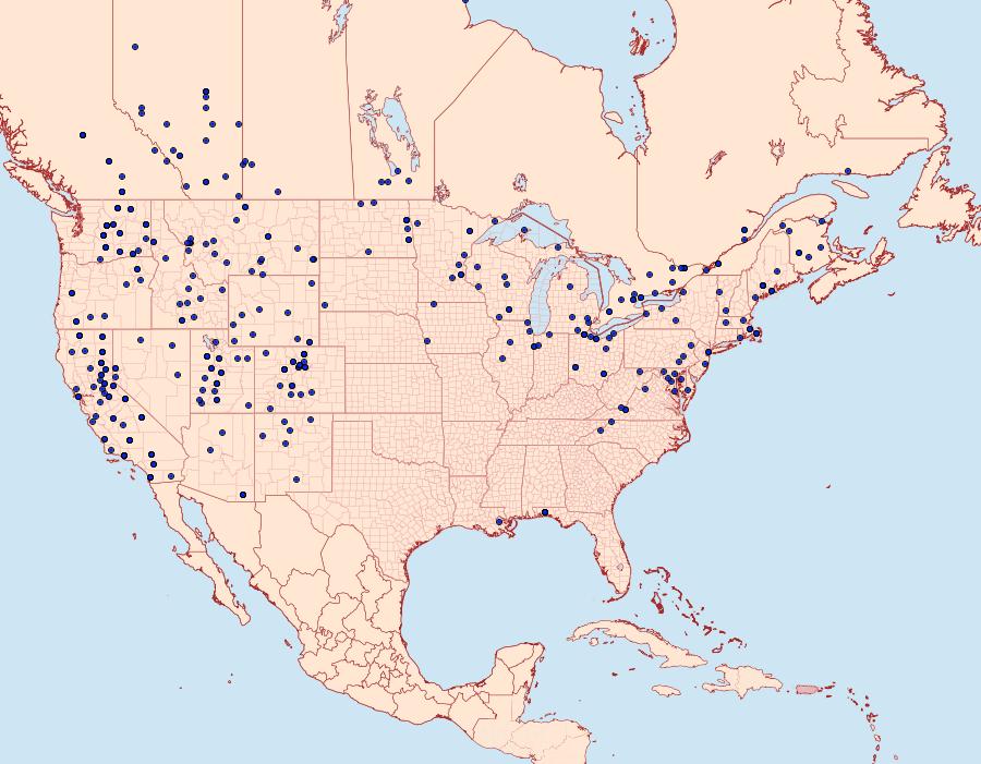 Distribution Data for Euxoa tessellata