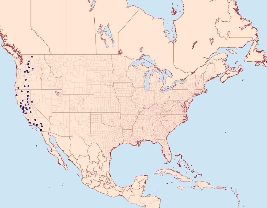 Distribution Data for Euxoa henrietta