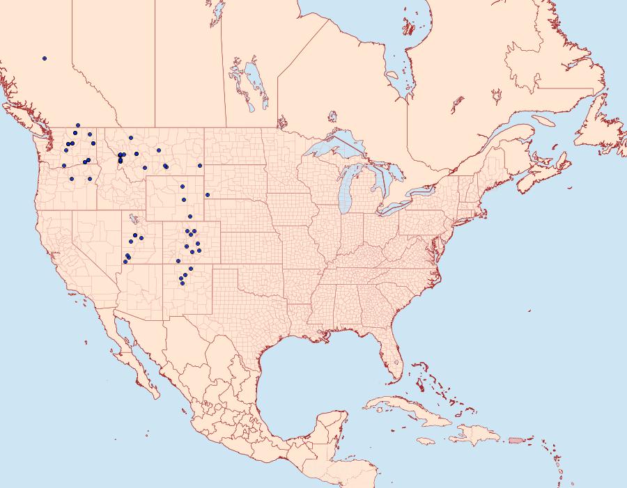 Distribution Data for Euxoa lillooet