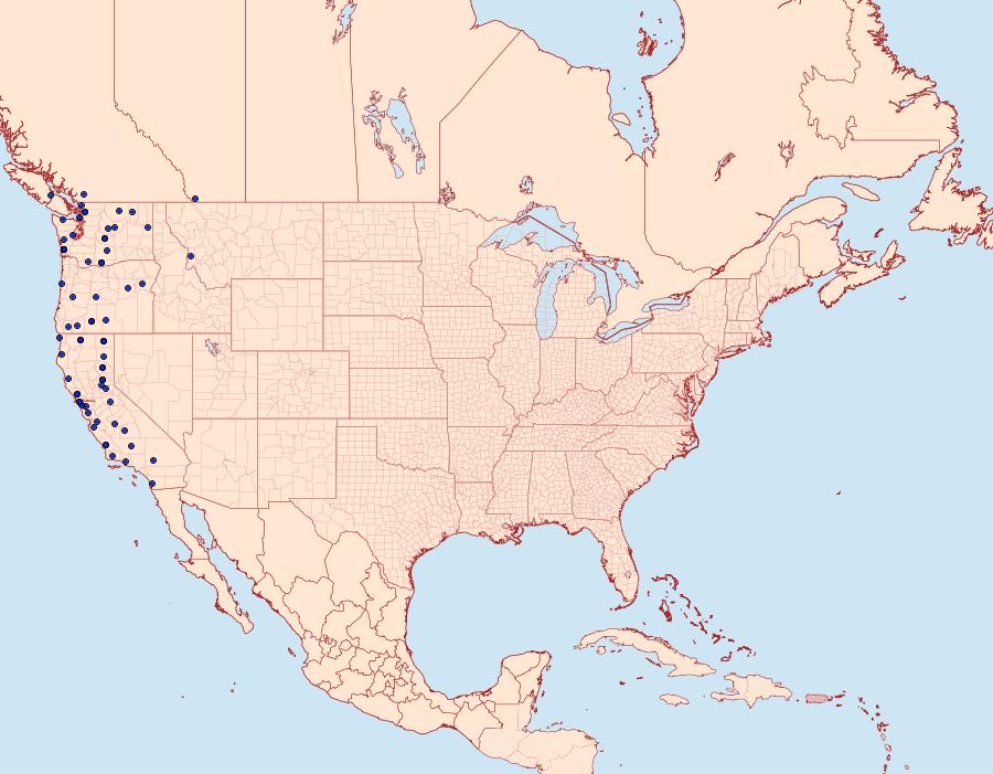 Distribution Data for Euxoa perexcellens