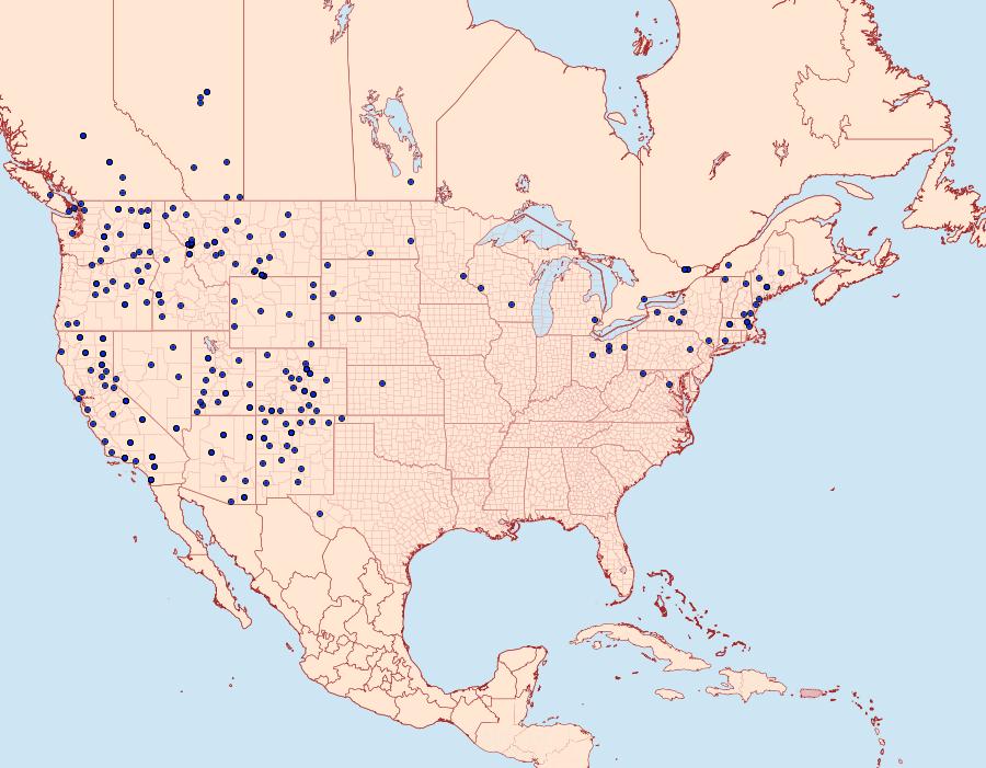 Distribution Data for Euxoa obeliscoides