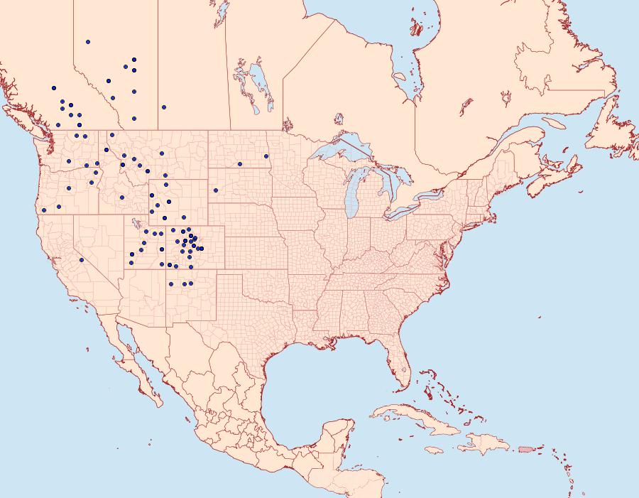 Distribution Data for Euxoa castanea