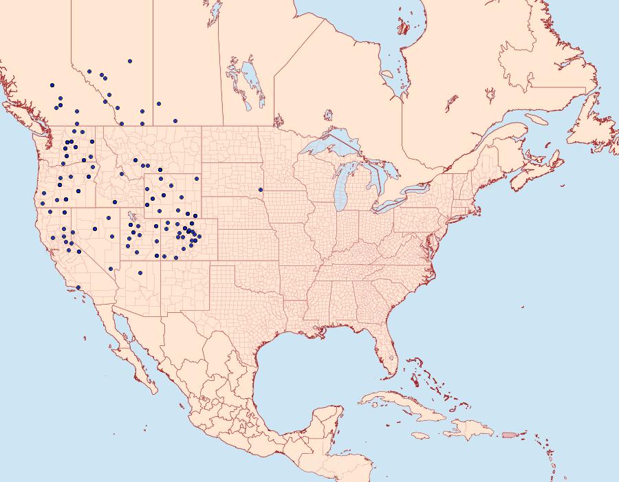 Distribution Data for Euxoa idahoensis