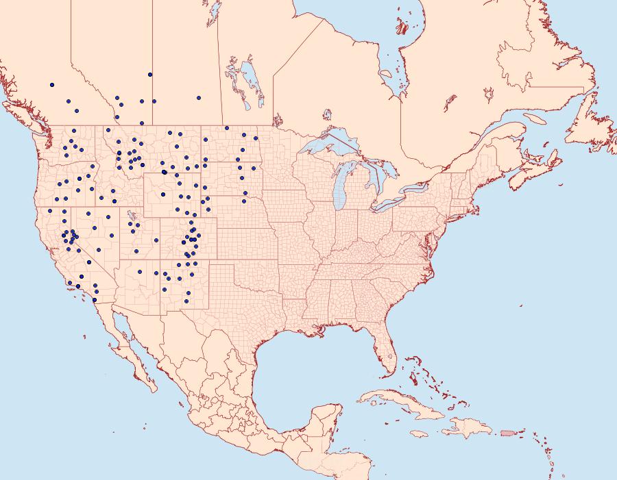 Distribution Data for Euxoa quadridentata