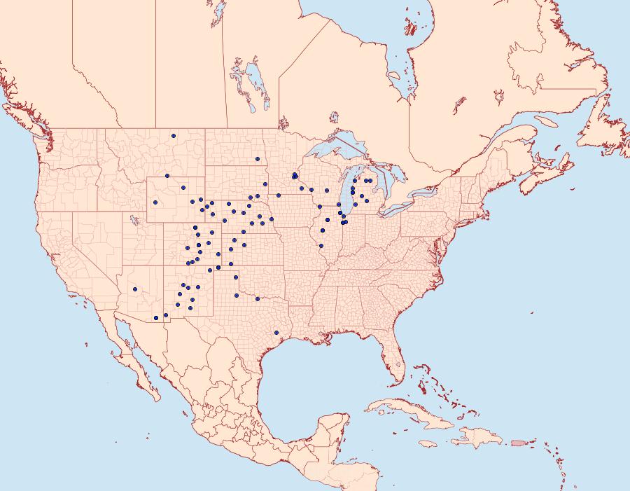 Distribution Data for Euxoa niveilinea