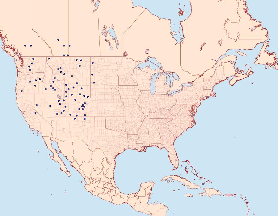 Distribution Data for Euxoa oblongistigma