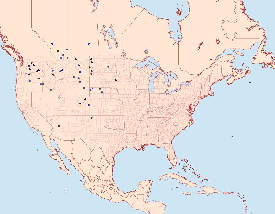 Distribution Data for Euxoa dargo