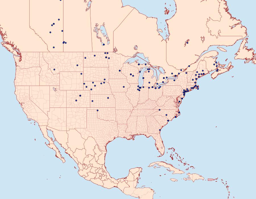 Distribution Data for Euxoa detersa