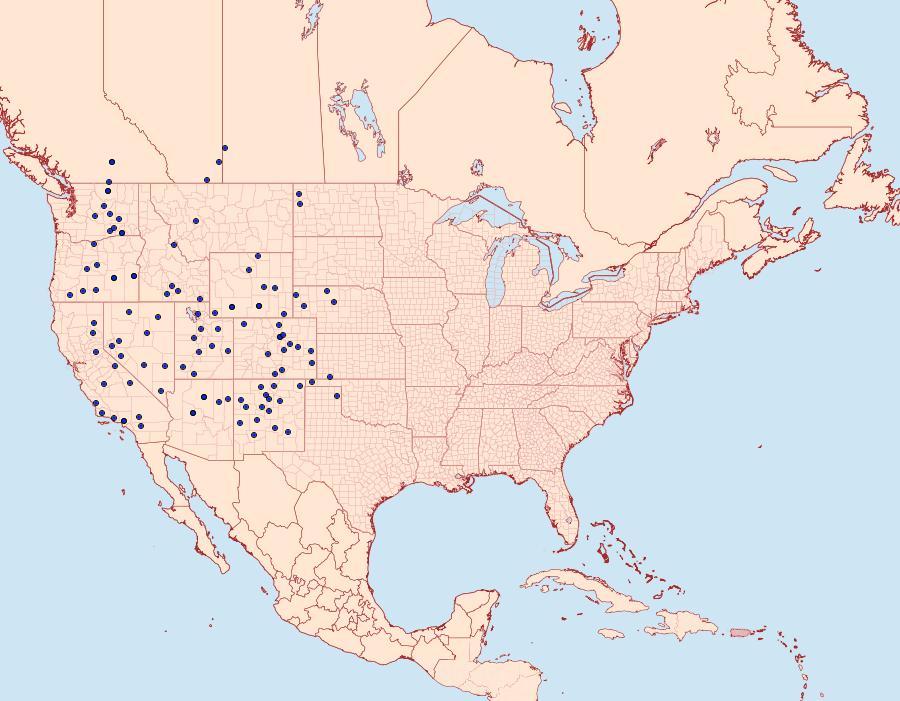 Distribution Data for Euxoa cicatricosa