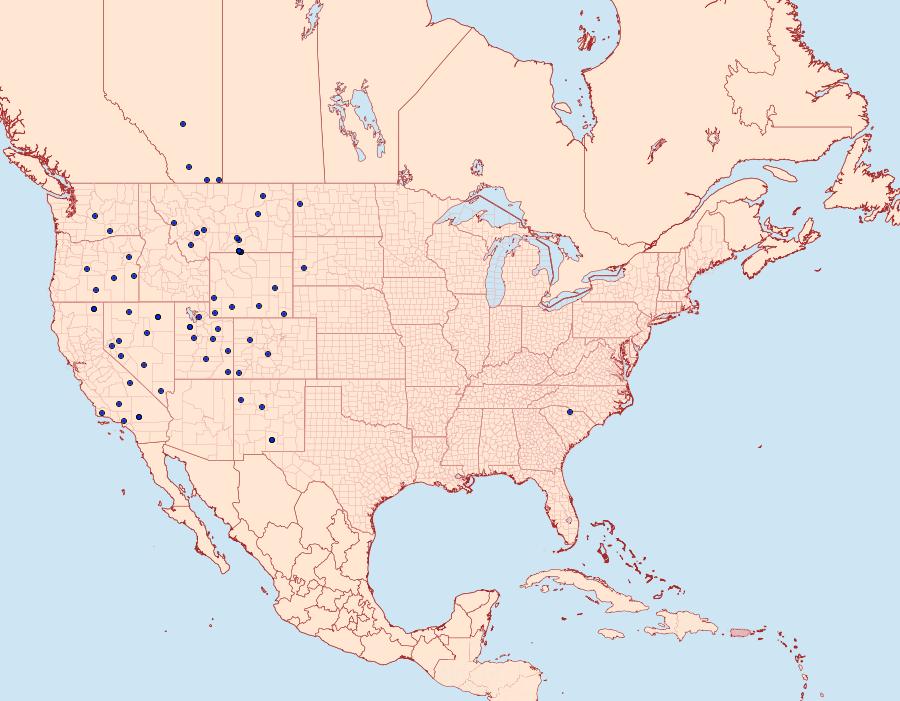 Distribution Data for Euxoa tronellus