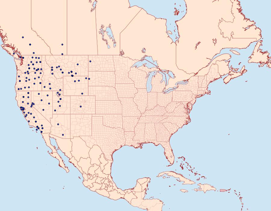 Distribution Data for Euxoa difformis