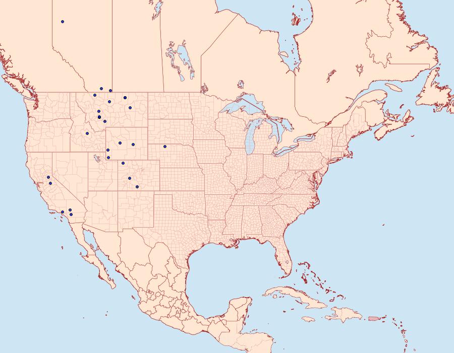 Distribution Data for Euxoa taura