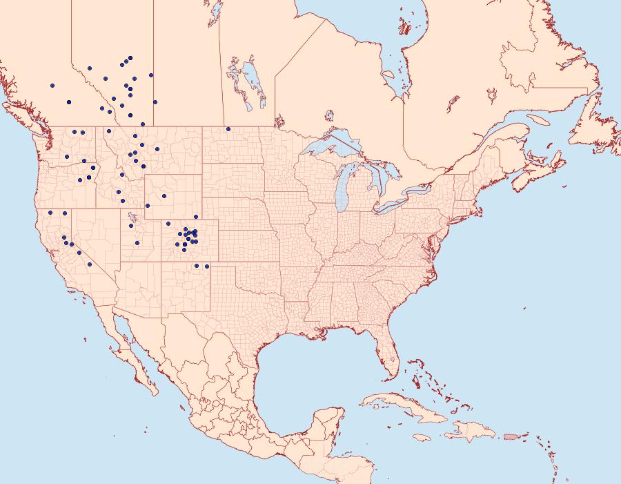 Distribution Data for Euxoa ridingsiana