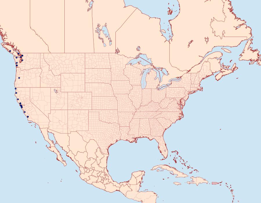 Distribution Data for Euxoa wilsoni