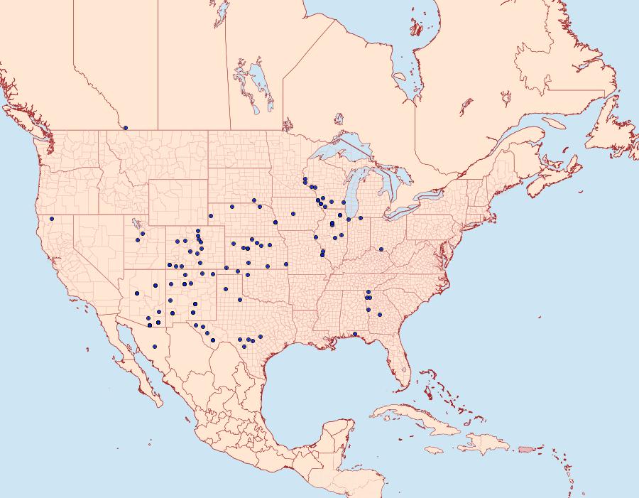 Distribution Data for Dichagyris grotei